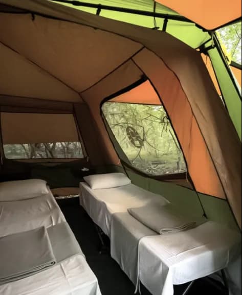 Wild Duo (For 2 People)