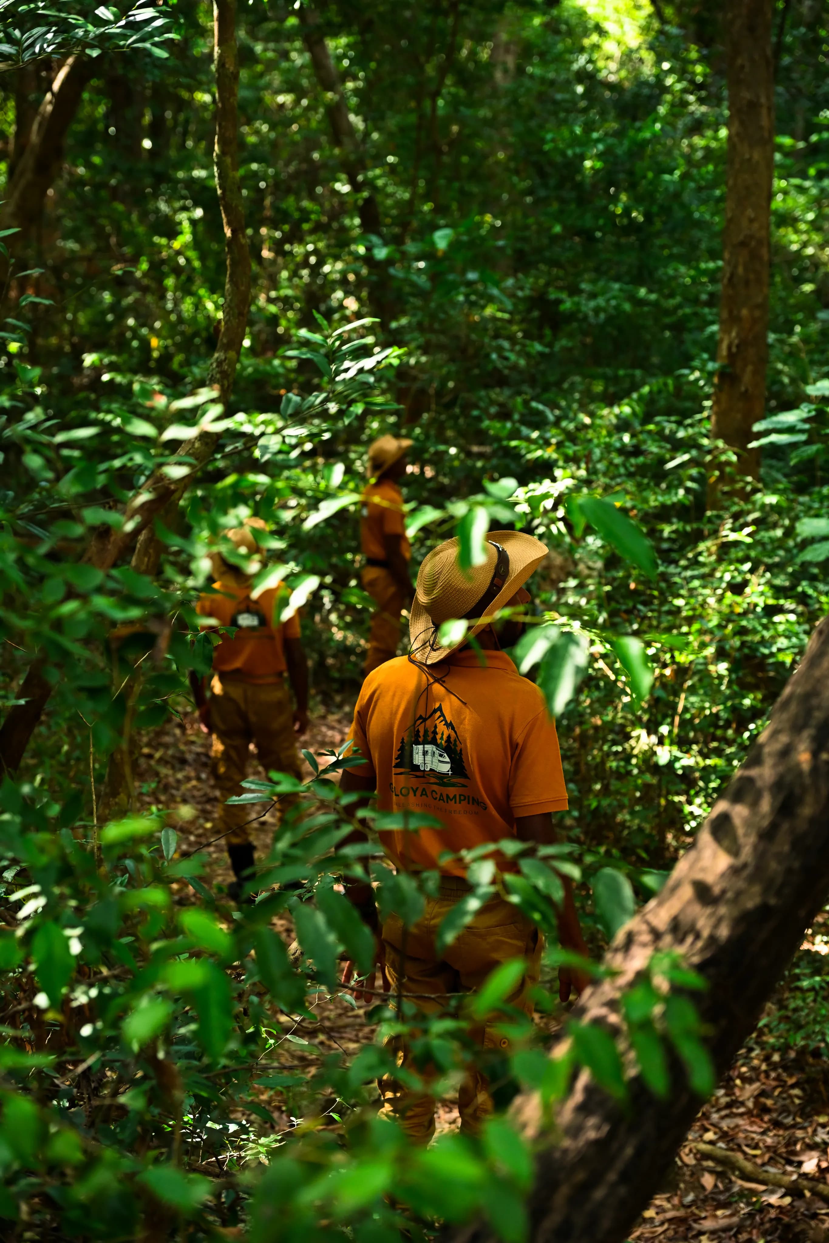 Off-Trekking in
the Jungle