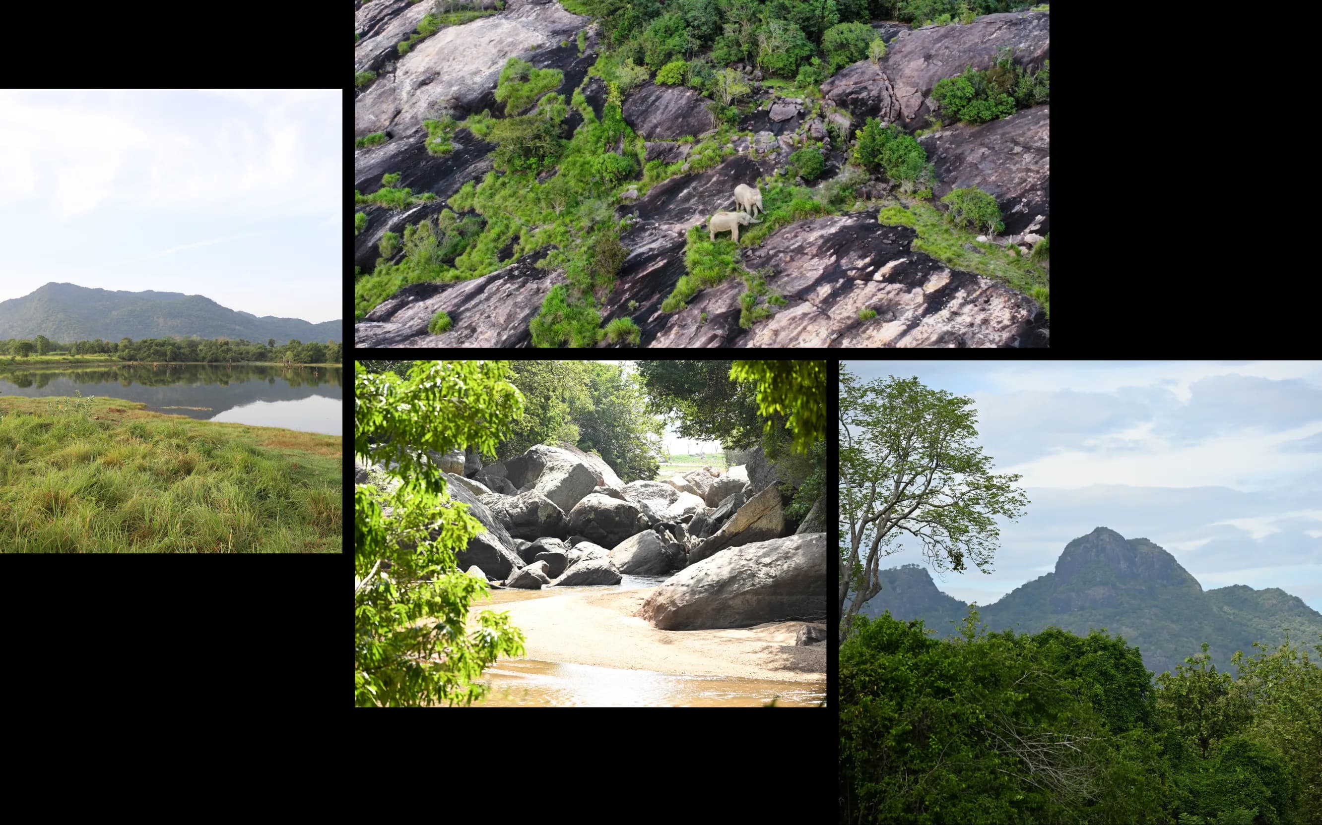 Discover the Geomorphology collage