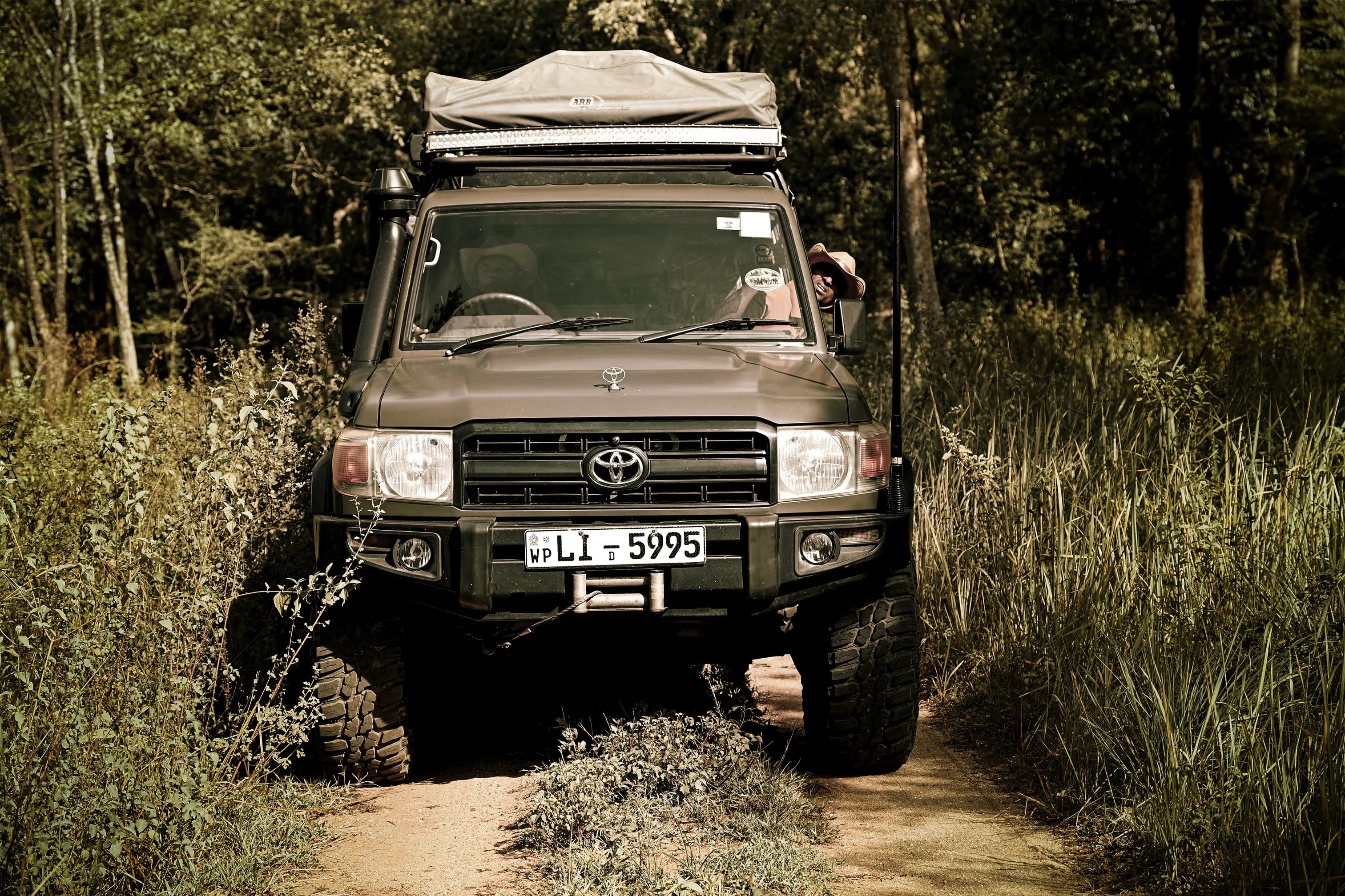 National Park Safari