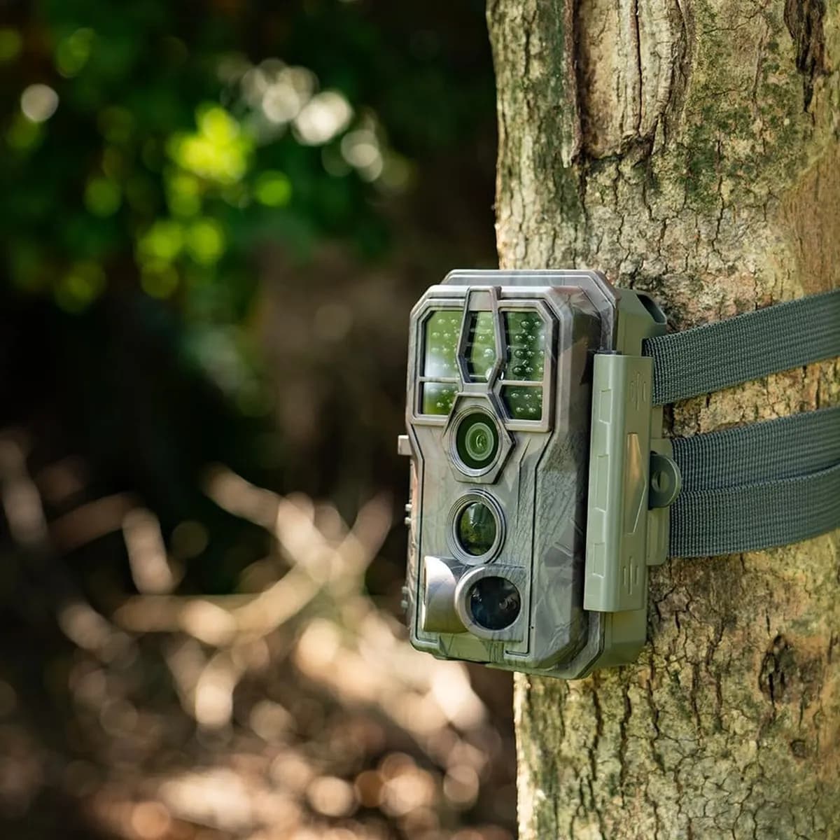 Trail Camera Monitoring
