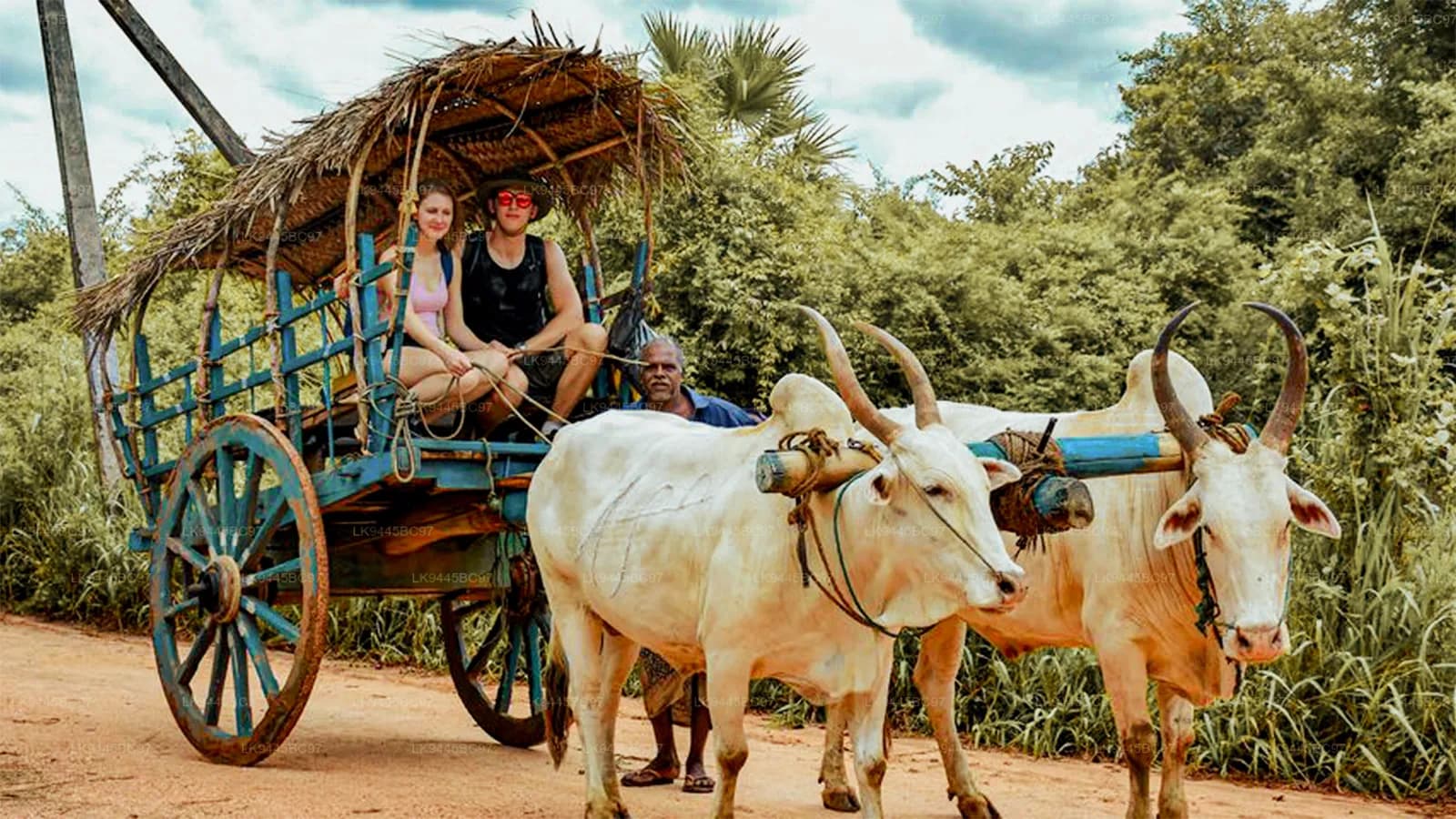 Village Bull Cart Journey