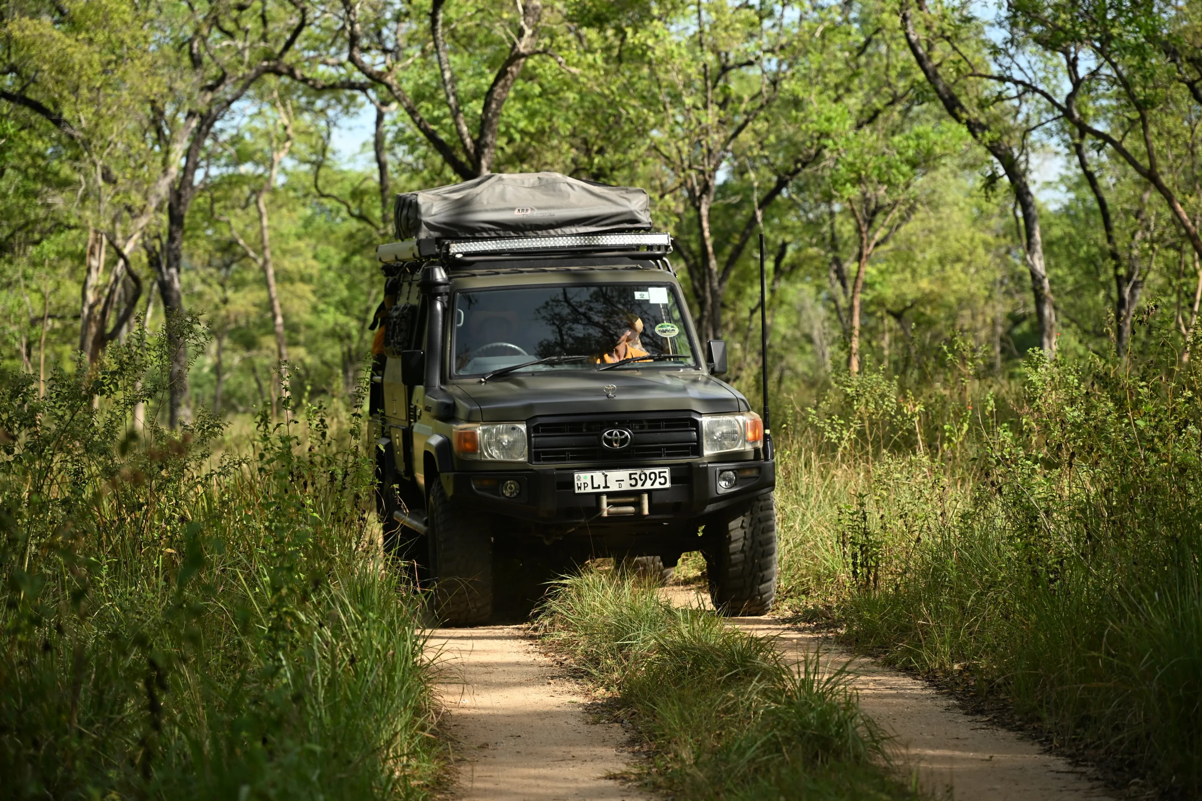 Jeep safaris and guided nature walks