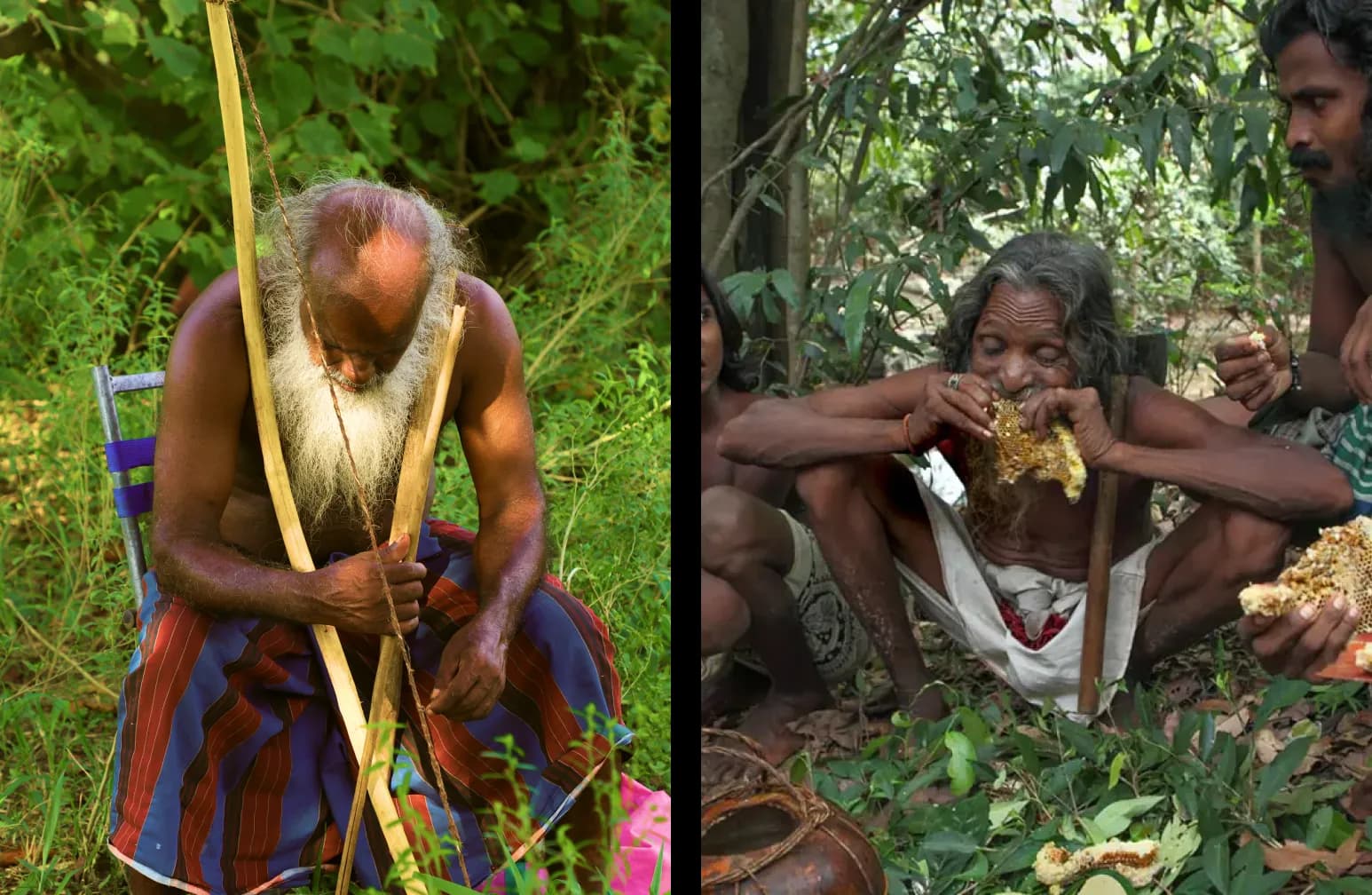 Vedda tribes daily life