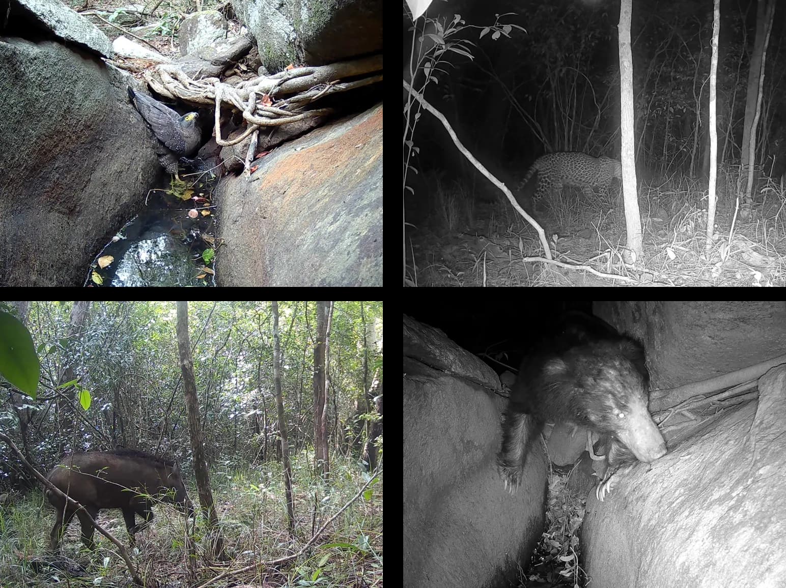 Rare moments left grid