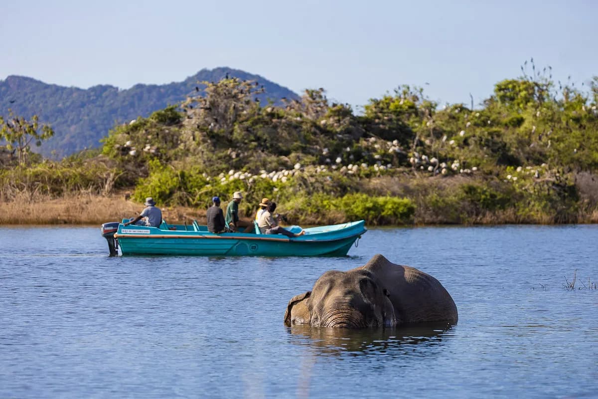 Senanayaka Samudraya