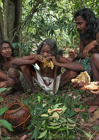 Honoring indigenous culture