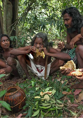 Honoring indigenous culture