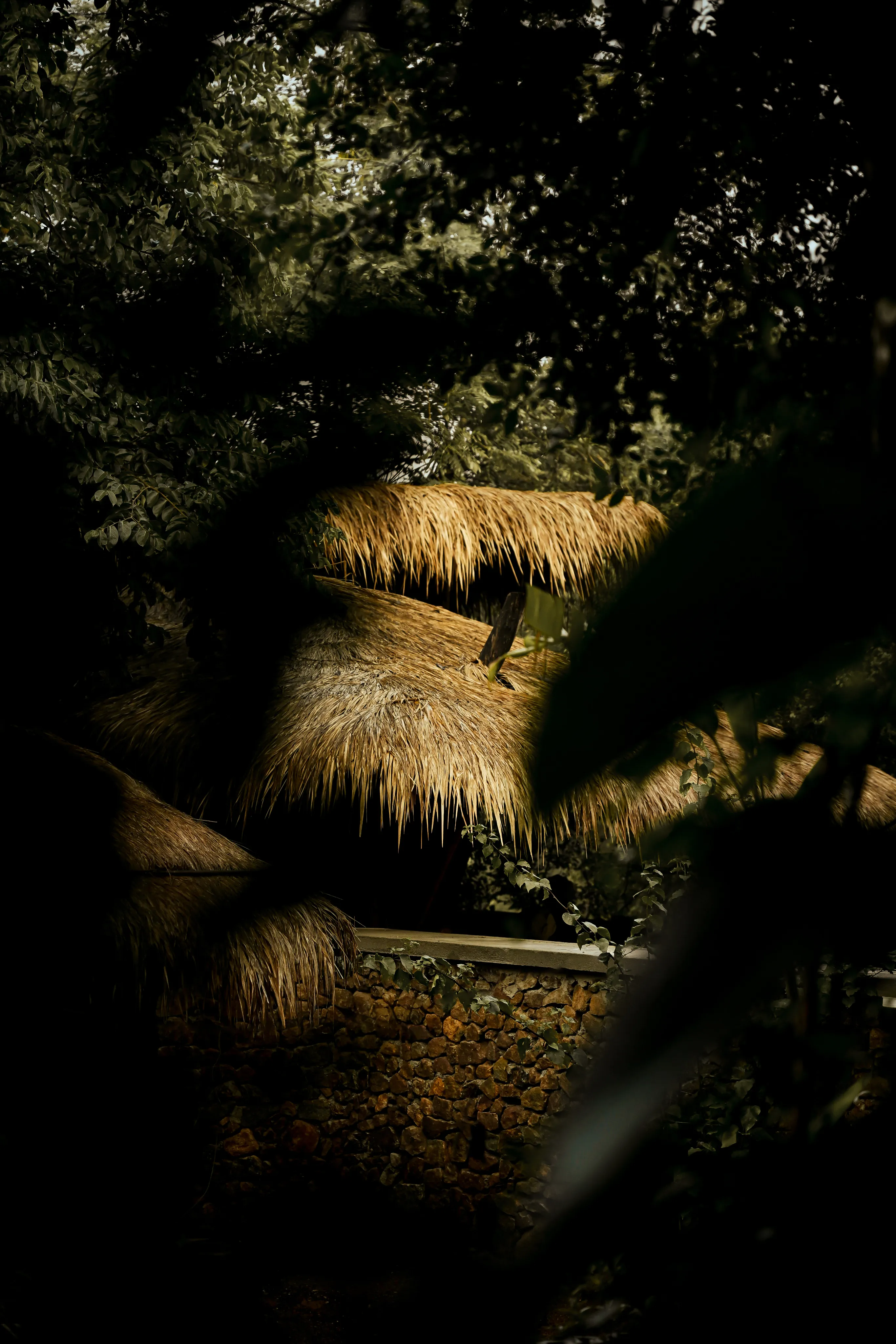 Nature-first lodge