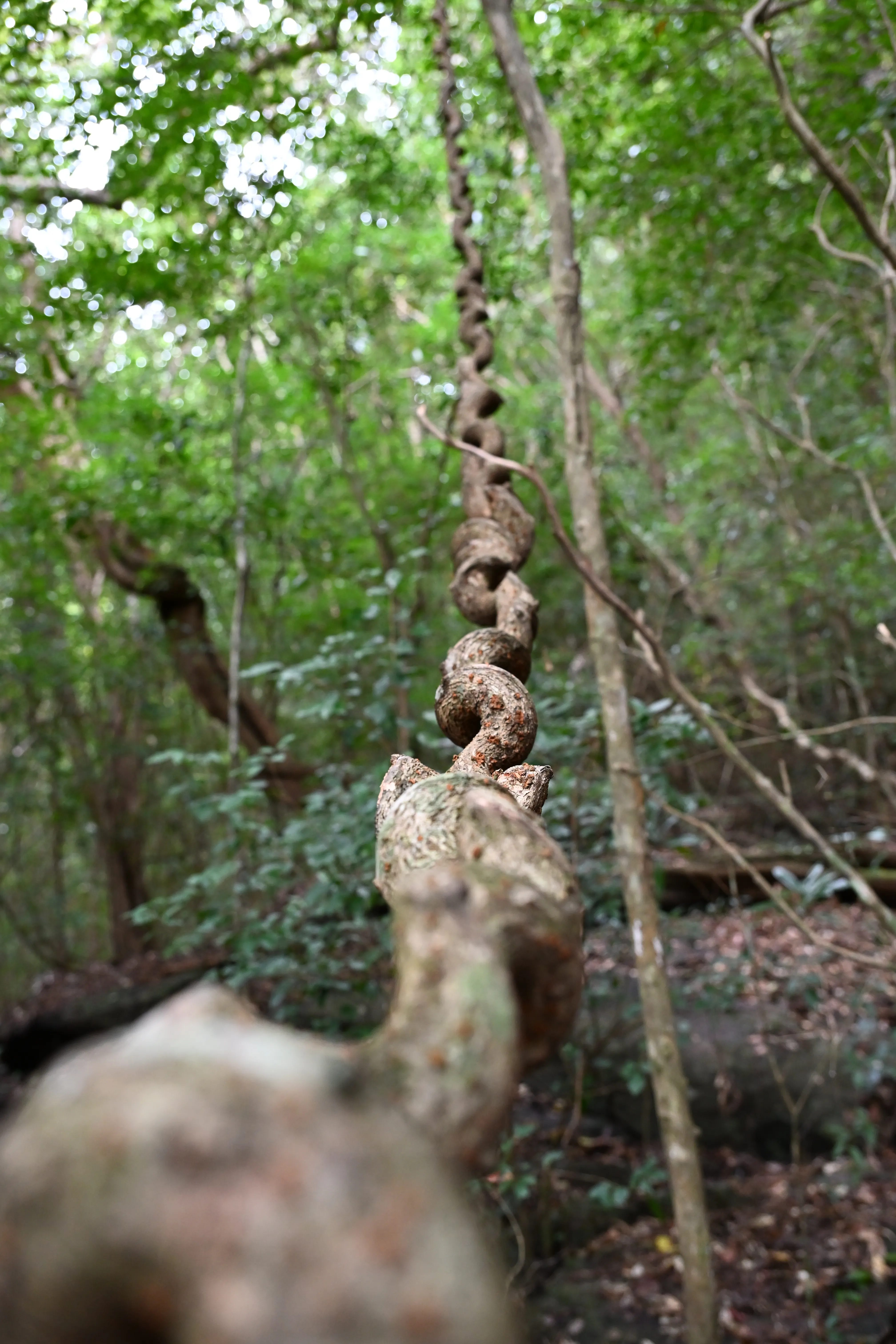 Nature 04