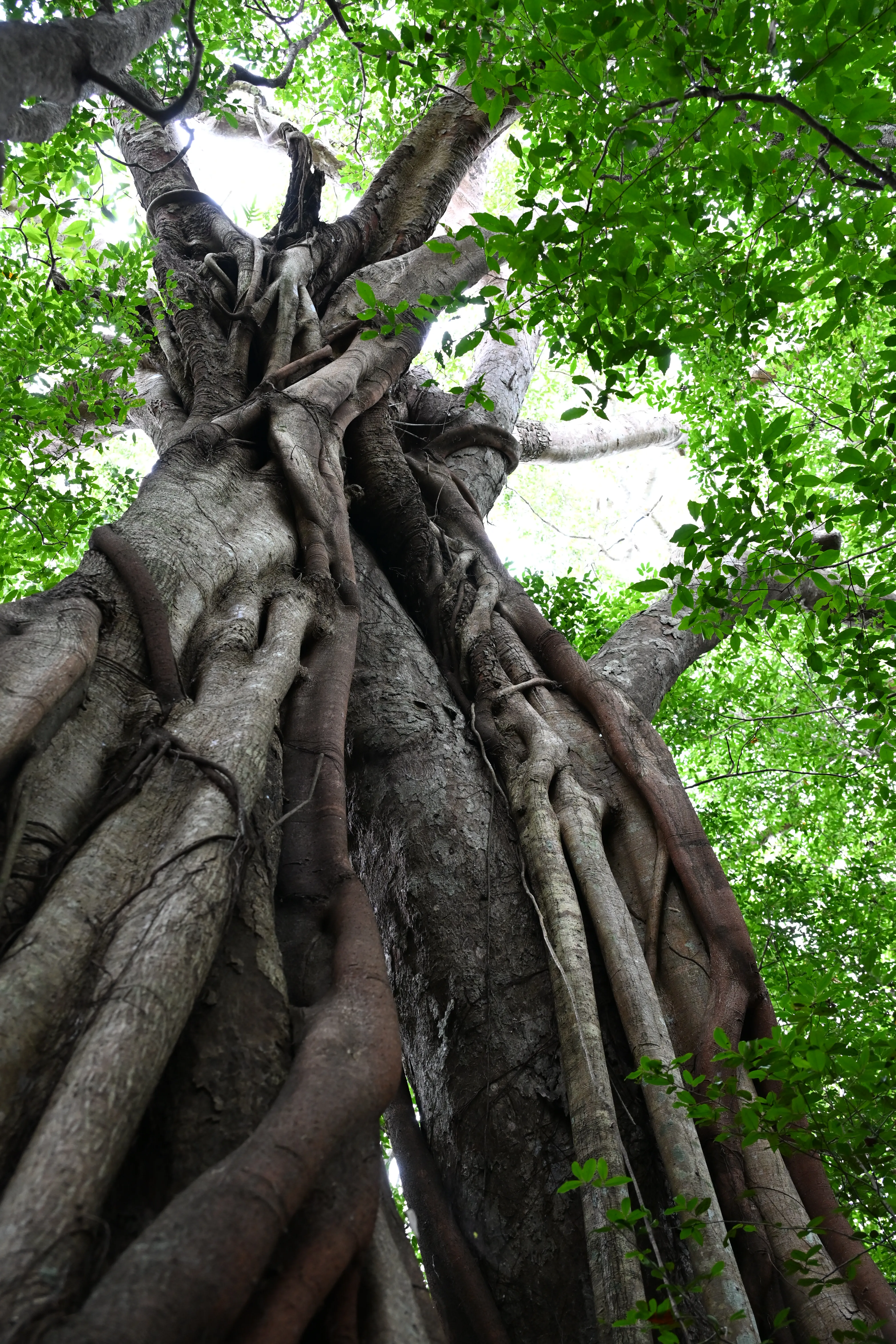 Nature 05