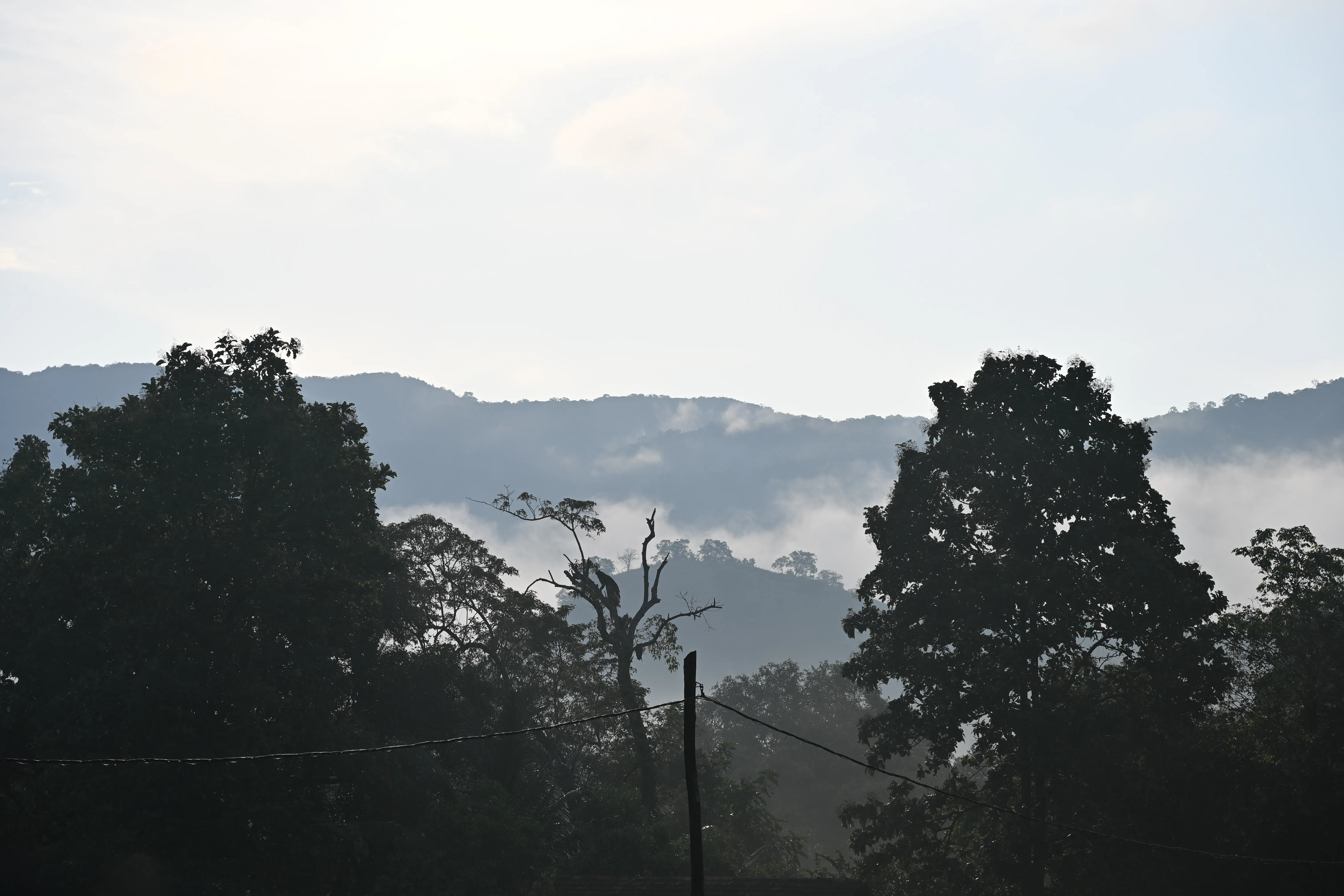 Nature 09